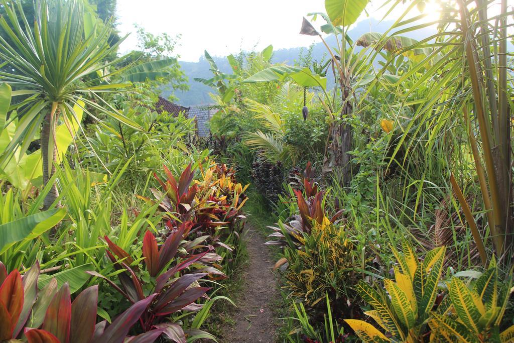 The Bukit Artha Bed & Breakfast Sidemen  Exterior photo