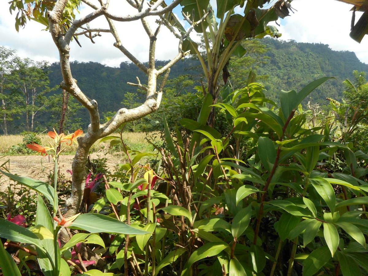 The Bukit Artha Bed & Breakfast Sidemen  Exterior photo