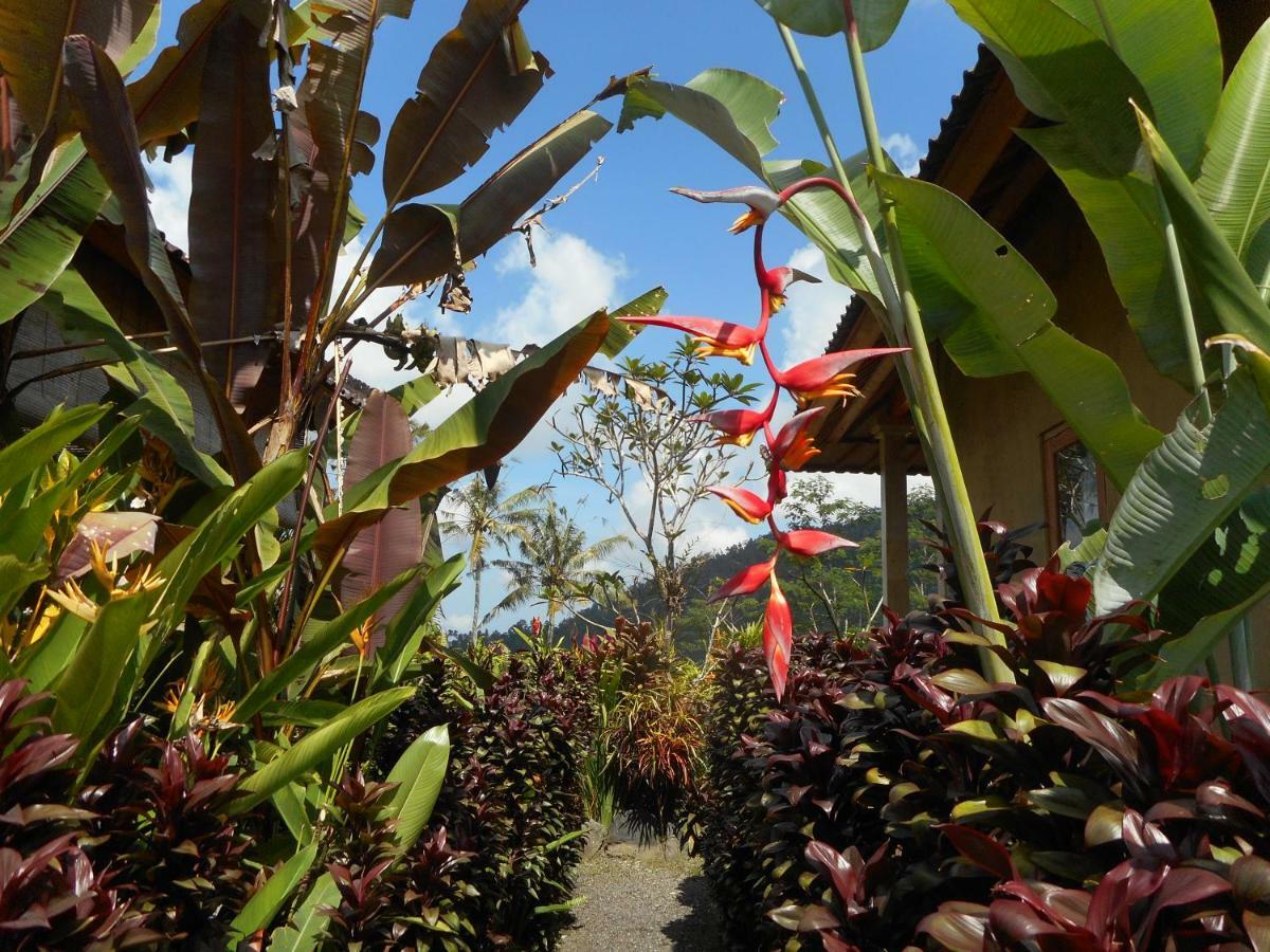 The Bukit Artha Bed & Breakfast Sidemen  Exterior photo