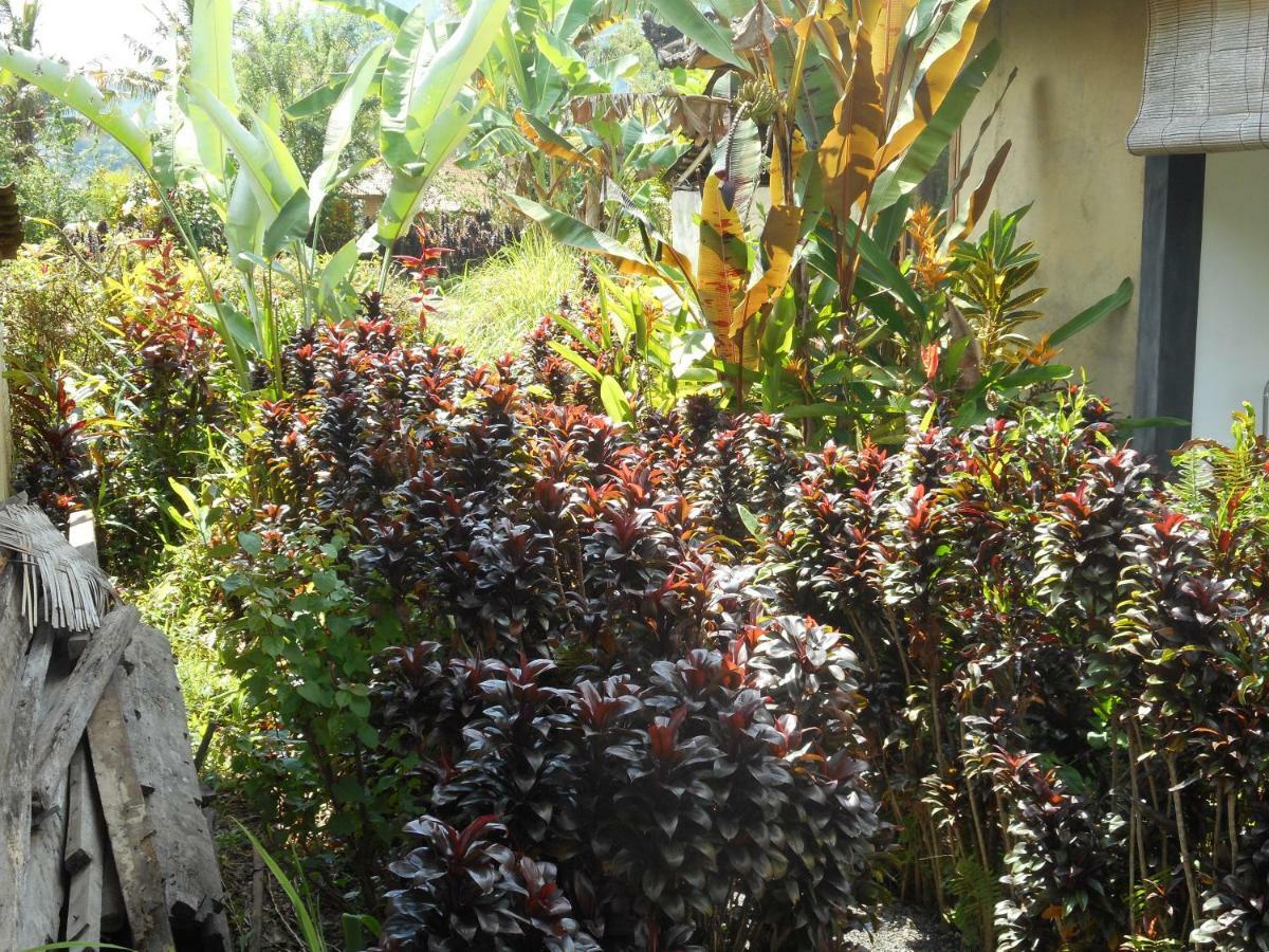 The Bukit Artha Bed & Breakfast Sidemen  Exterior photo