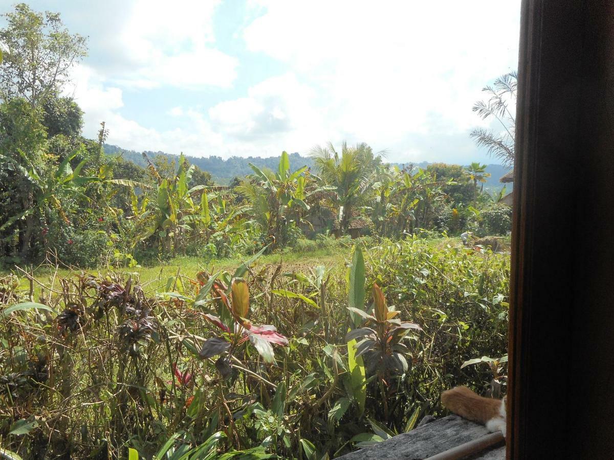 The Bukit Artha Bed & Breakfast Sidemen  Exterior photo