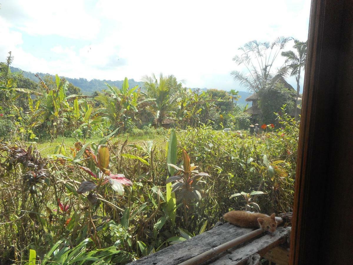 The Bukit Artha Bed & Breakfast Sidemen  Exterior photo